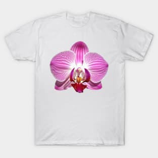 Pink Orchid Flower Art Print T-Shirt